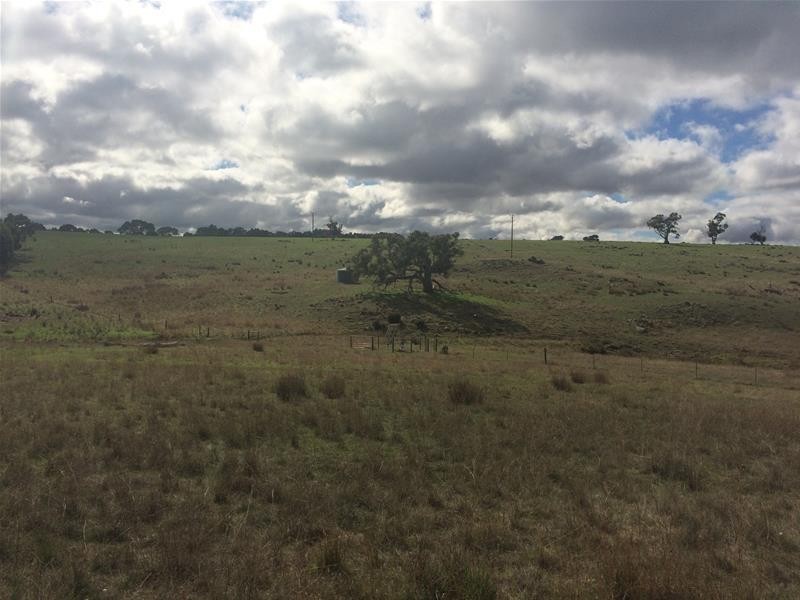 Lot 13 Wiles Fire Track, Wistow SA 5251