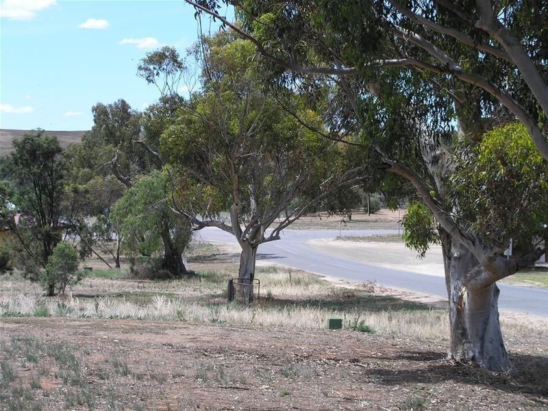 Lot 35, Lot 35 Chucka Bend Estate, Bowhill SA 5238