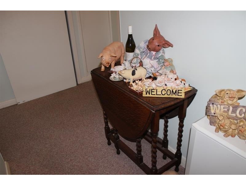 13 Rudolf Street, Mannum SA 5238