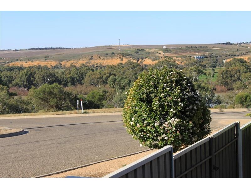 2 Douglas Street, Mannum SA 5238