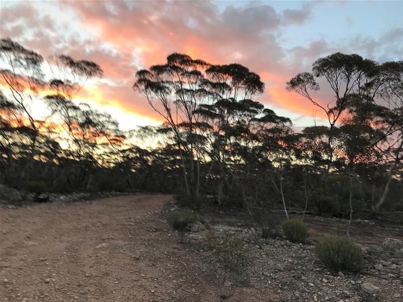 Lot 18 Broncos Road, Swan Reach SA 5354