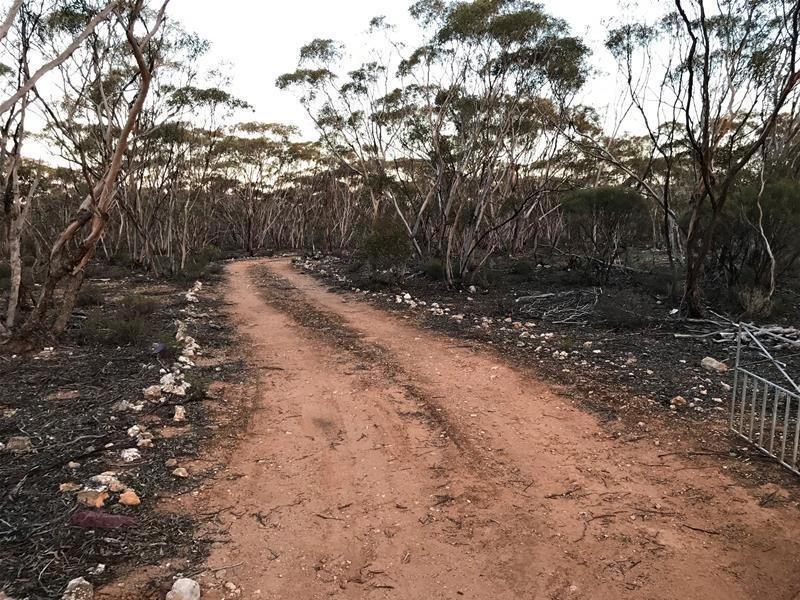 Lot 18 Broncos Road, Swan Reach SA 5354