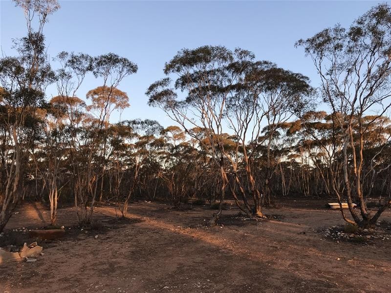 Lot 18 Broncos Road, Swan Reach SA 5354