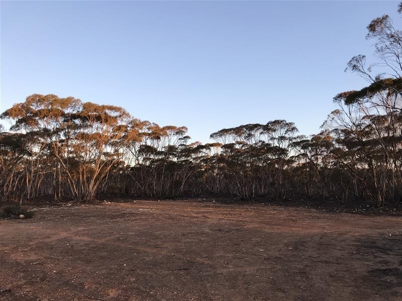 Lot 18 Broncos Road, Swan Reach SA 5354