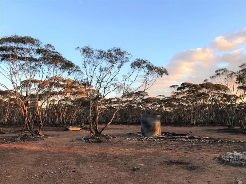 Lot 18 Broncos Road, Swan Reach SA 5354