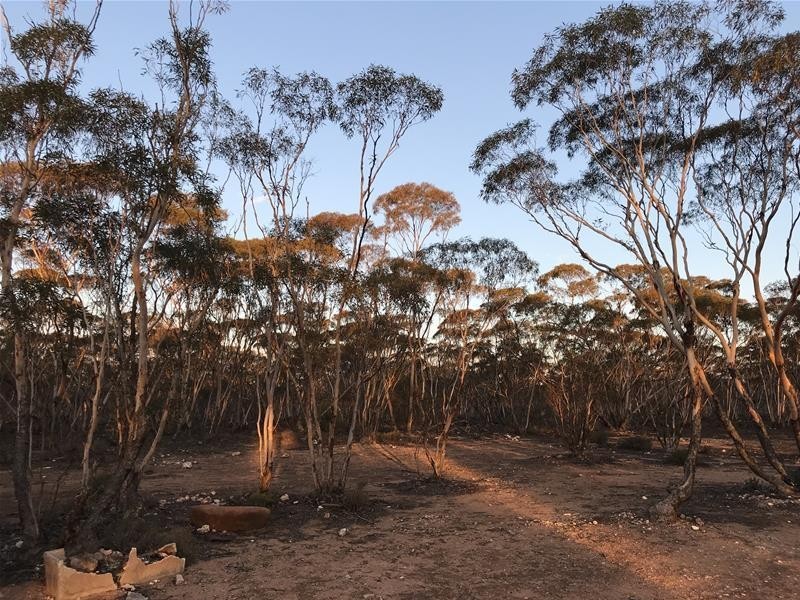 Lot 18 Broncos Road, Swan Reach SA 5354