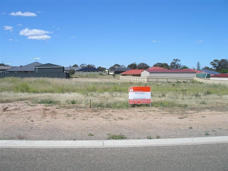 45 Male Road, Mannum SA 5238