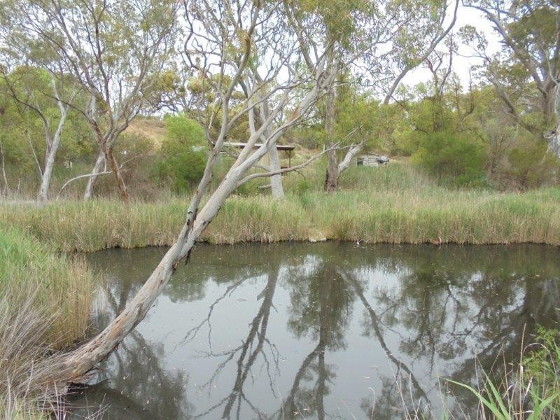 Section 335 Schwertie Road, Black Hill SA 5353