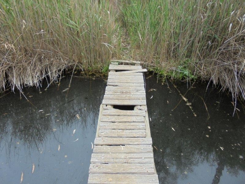 Section 335 Schwertie Road, Black Hill SA 5353