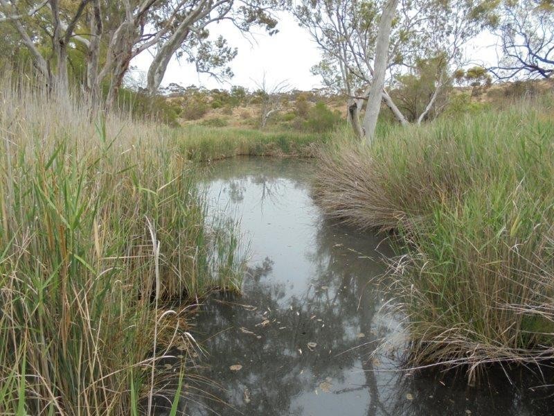 Section 335 Schwertie Road, Black Hill SA 5353