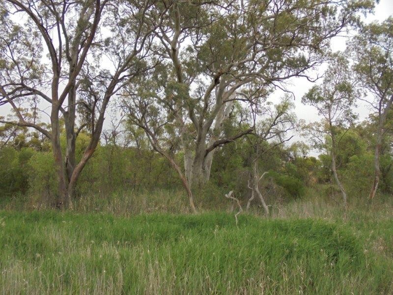 Section 335 Schwertie Road, Black Hill SA 5353