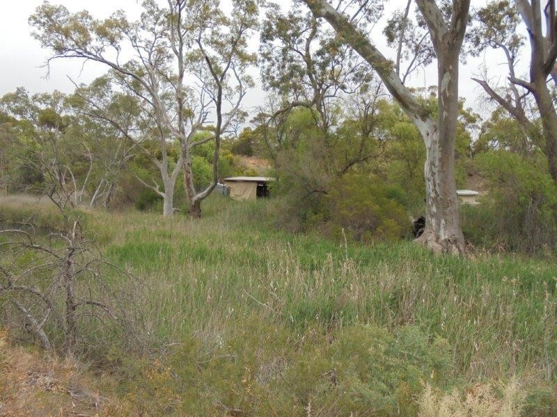 Section 335 Schwertie Road, Black Hill SA 5353