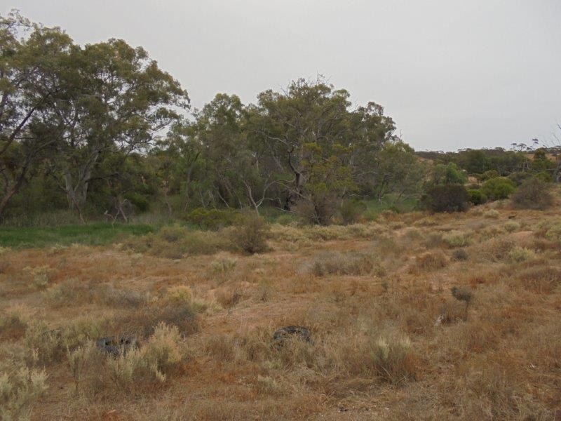 Section 335 Schwertie Road, Black Hill SA 5353