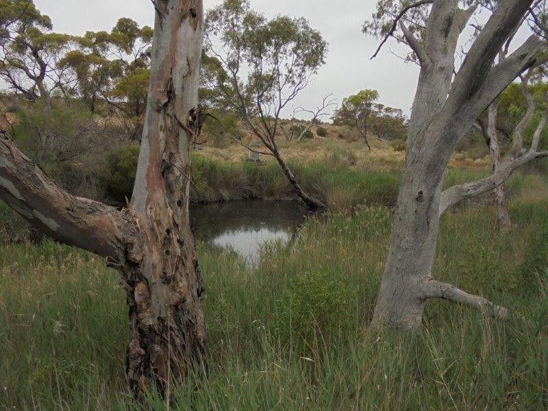 Section 335 Schwertie Road, Black Hill SA 5353