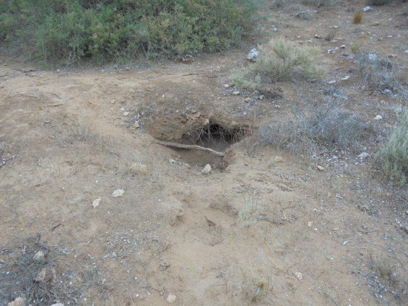 Section 335 Schwertie Road, Black Hill SA 5353