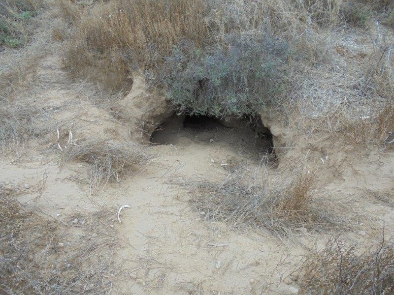 Section 335 Schwertie Road, Black Hill SA 5353