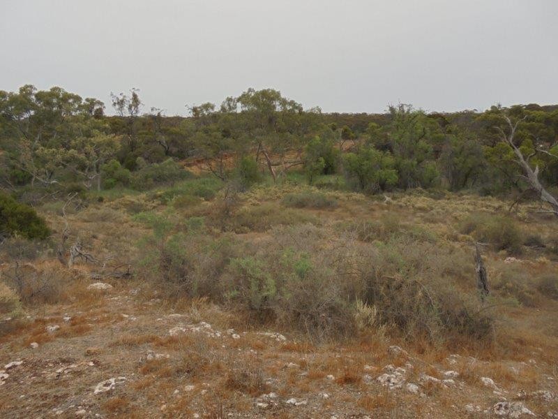 Section 335 Schwertie Road, Black Hill SA 5353