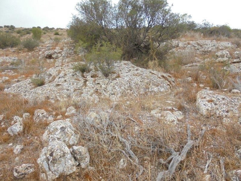 Section 335 Schwertie Road, Black Hill SA 5353