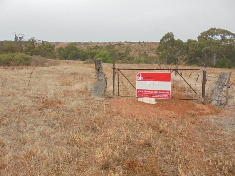 Section 335 Schwertie Road, Black Hill SA 5353