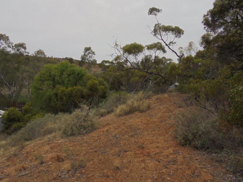 Section 335 Schwertie Road, Black Hill SA 5353