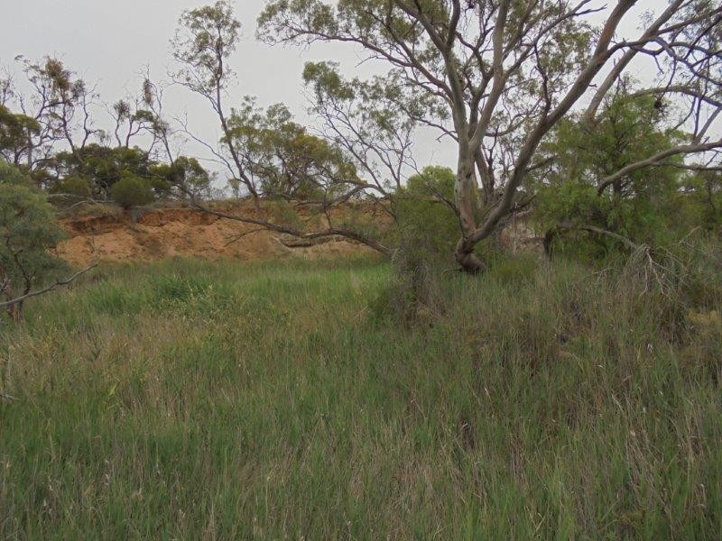 Section 335 Schwertie Road, Black Hill SA 5353