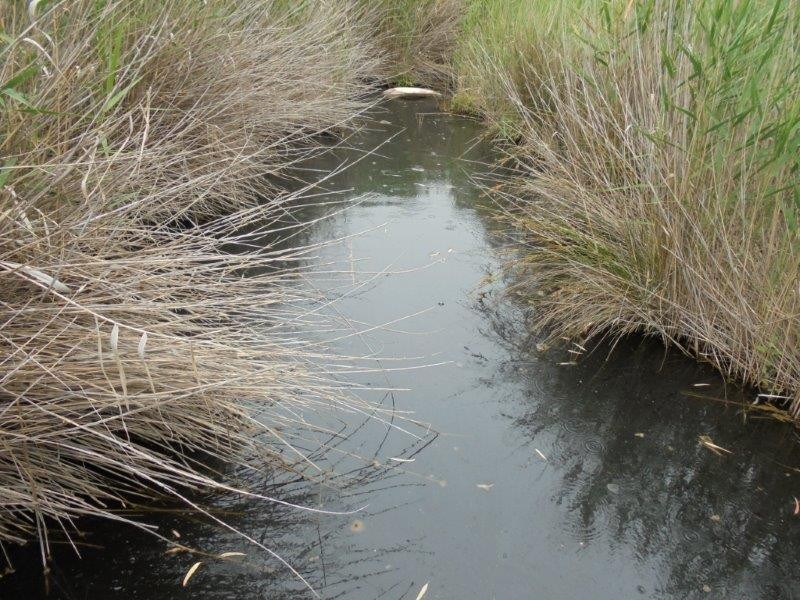 Section 335 Schwertie Road, Black Hill SA 5353