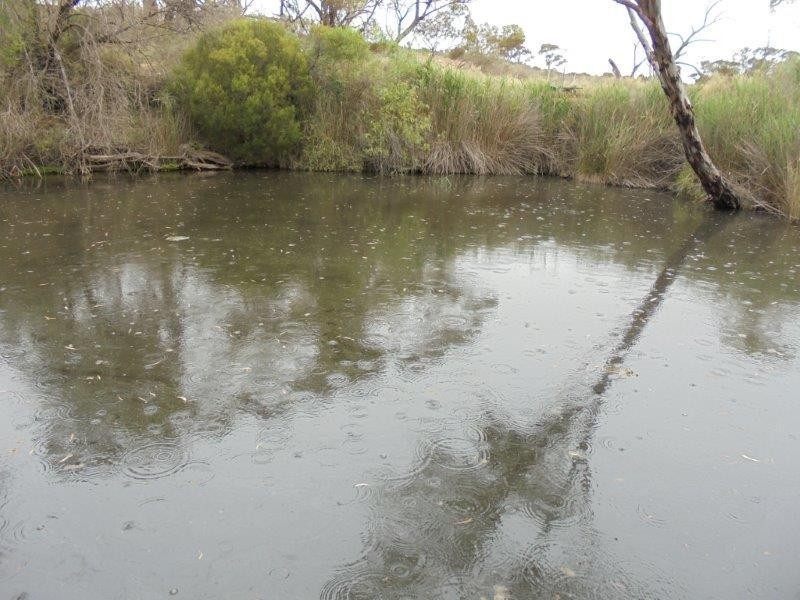 Section 335 Schwertie Road, Black Hill SA 5353