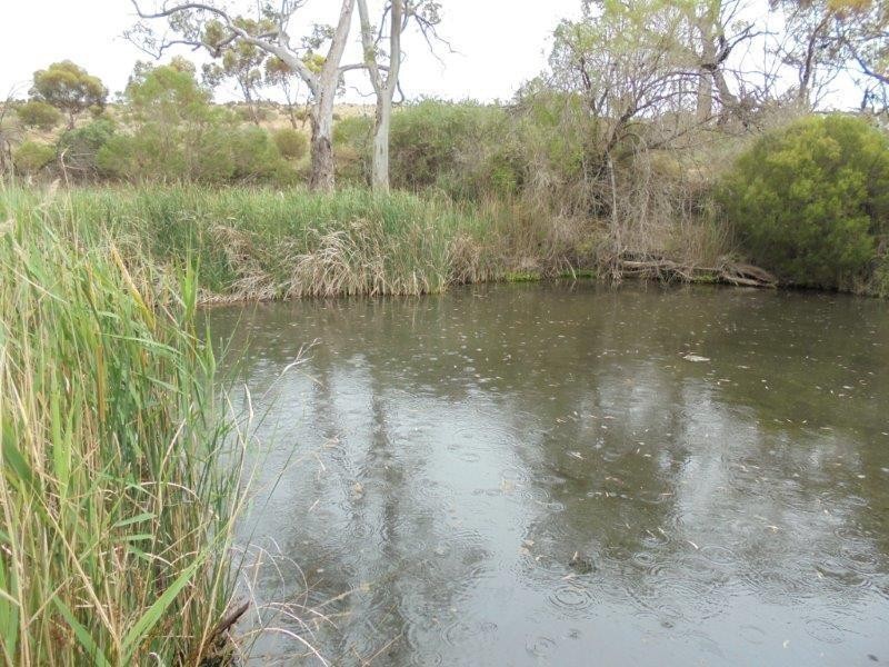 Section 335 Schwertie Road, Black Hill SA 5353