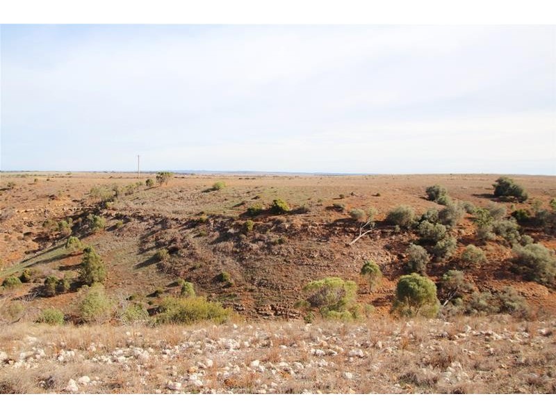 16 Omega Road, Mannum SA 5238