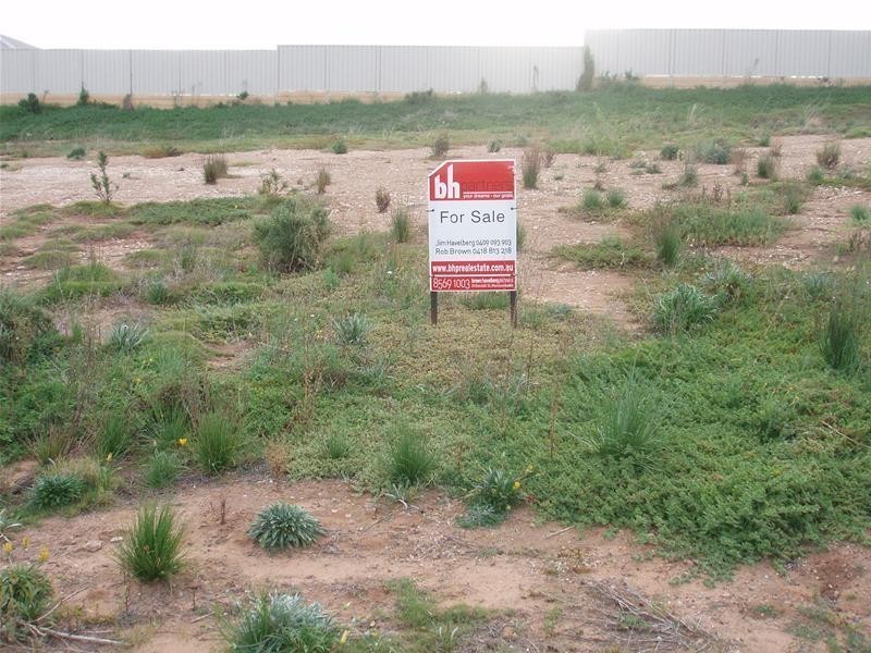 Lot 10 Preiss Street, Mannum SA 5238