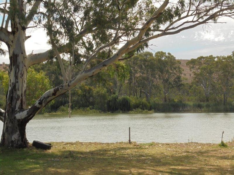 34 Providence Drive, Bowhill SA 5238