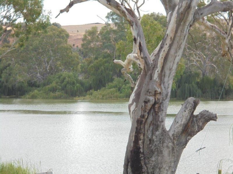 34 Providence Drive, Bowhill SA 5238