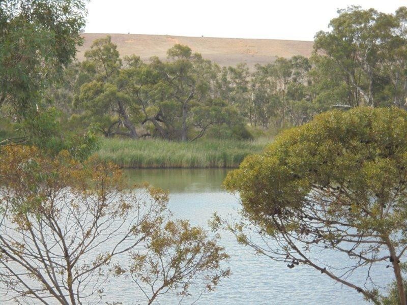 34 Providence Drive, Bowhill SA 5238