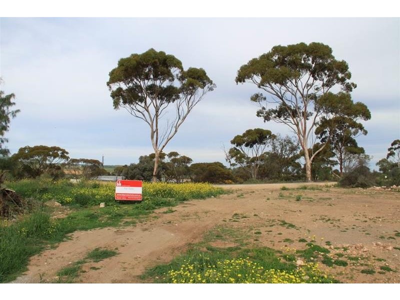 18B King George Street, Mannum SA 5238