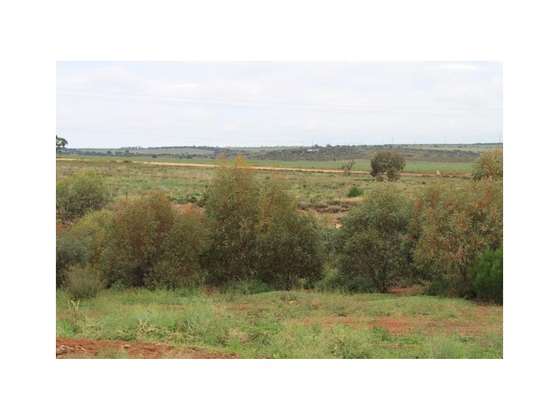 Lot 1 Warnes Road, Mannum SA 5238