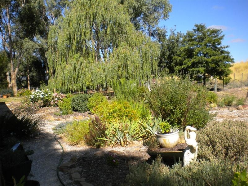 20 Angas Street, Springton SA 5235