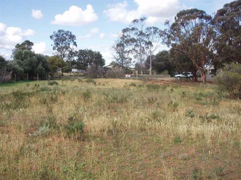 22 Day Street Nildottie via, Mannum SA 5238