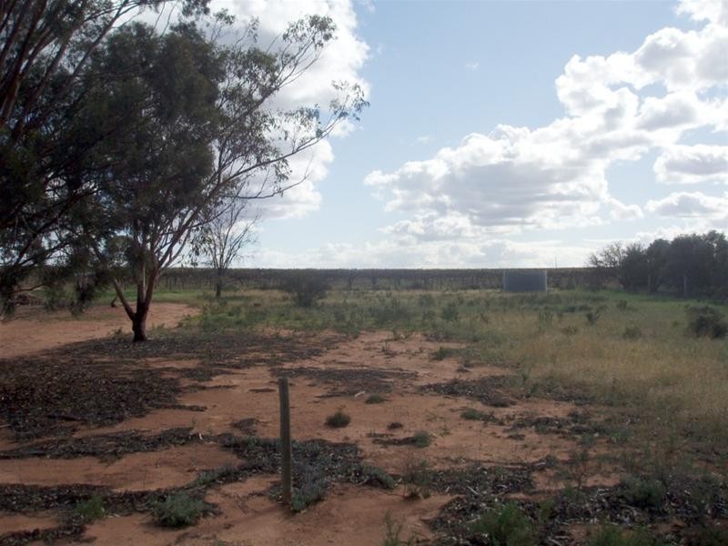 22 Day Street Nildottie via, Mannum SA 5238