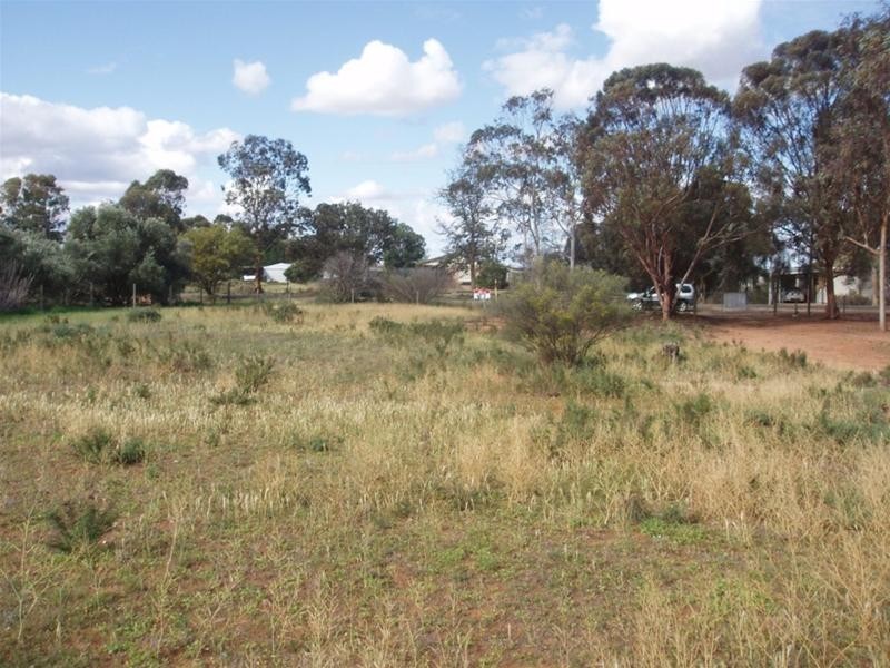 22 Day Street Nildottie via, Mannum SA 5238