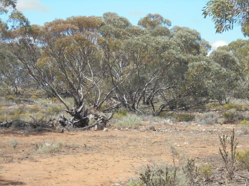 251 Quarry Road, Black Hill SA 5353