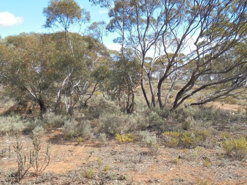 251 Quarry Road, Black Hill SA 5353