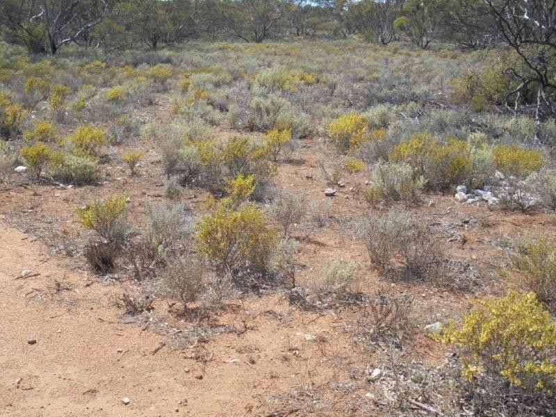 251 Quarry Road, Black Hill SA 5353