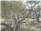 251 Quarry Road, Black Hill SA 5353