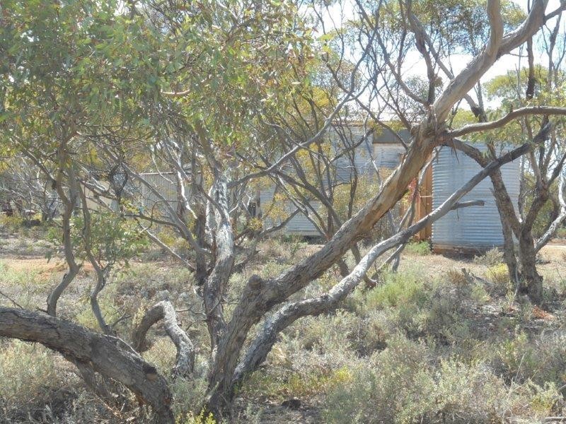 251 Quarry Road, Black Hill SA 5353