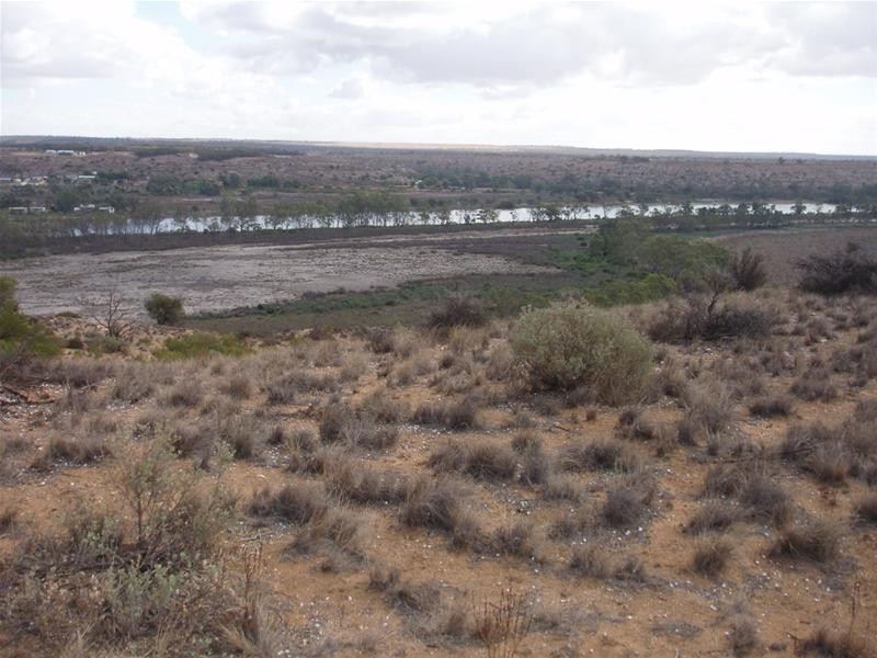 LOT 1 Section 106, Nildottie SA 5238