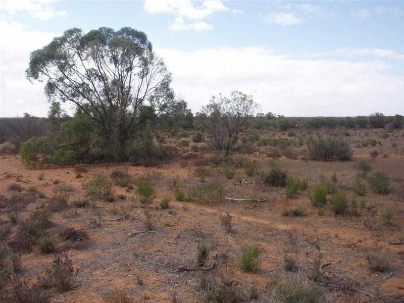 LOT 1 Section 106, Nildottie SA 5238