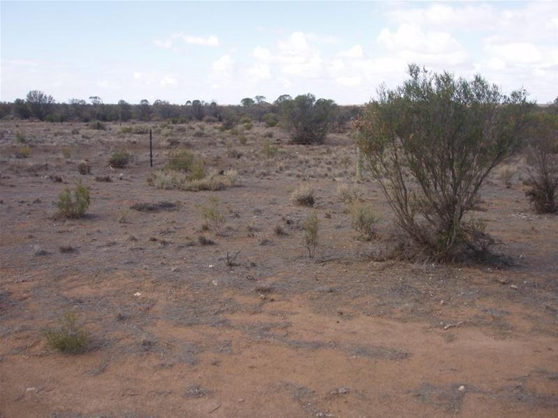 LOT 1 Section 106, Nildottie SA 5238