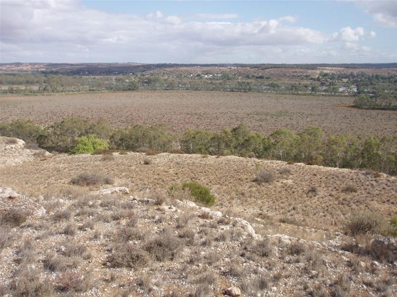 LOT 1 Section 106, Nildottie SA 5238