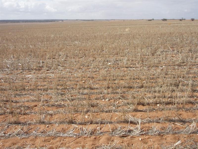 LOT 1 Section 106, Nildottie SA 5238