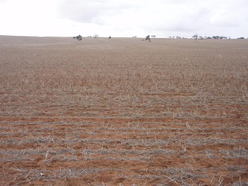 LOT 1 Section 106, Nildottie SA 5238